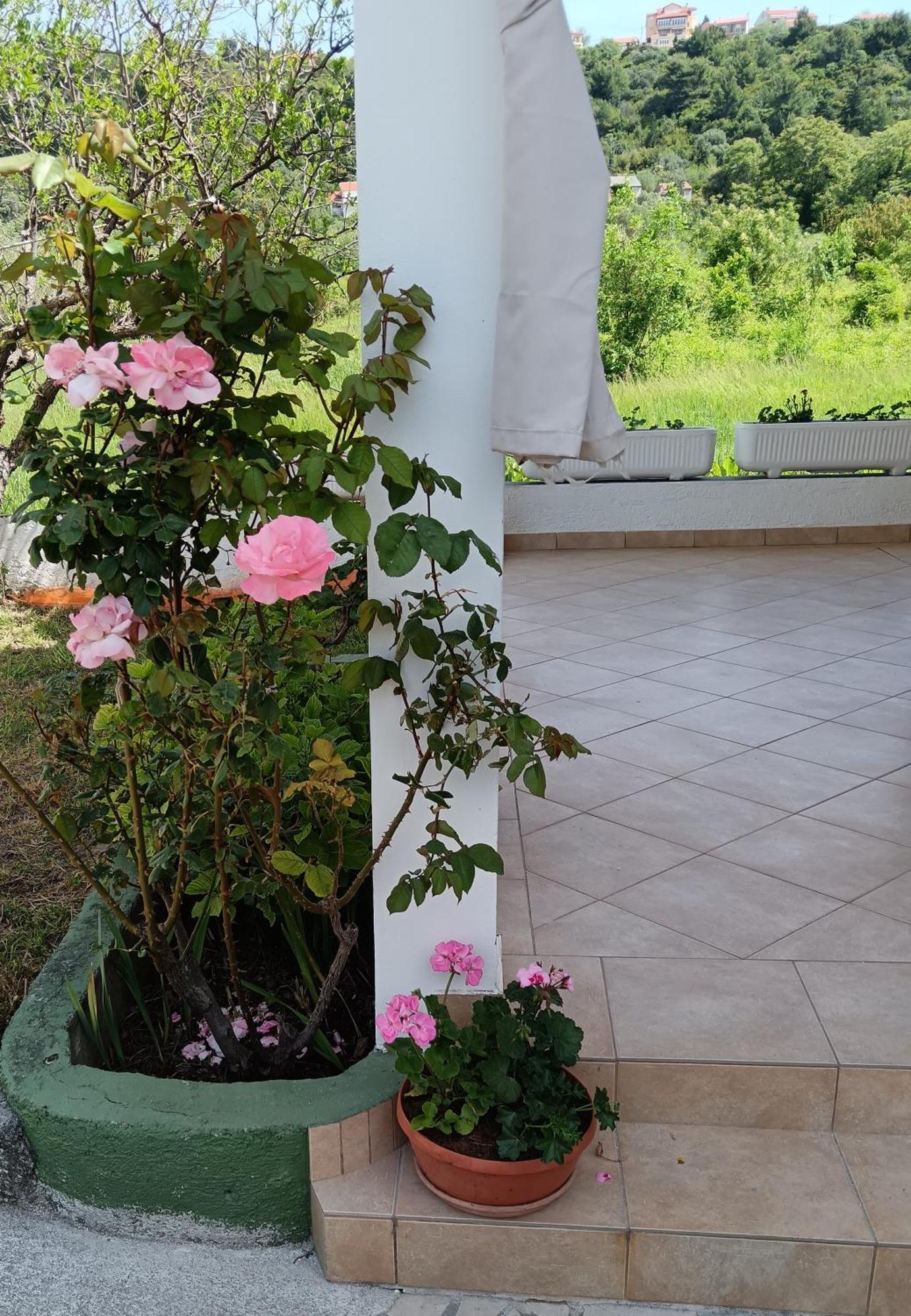 Apartamento App Leo Palit Exterior foto